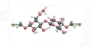Research: Nanoscientists discover new mechanism to cleave cellulose effectively and in an environmentally friendly way —