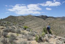 Research: Ecological transformation in the wake of the ‘Great Dying’ moves scientists closer to understanding the nature of recovery —