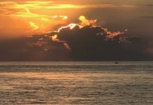 Research: Ocean sink for human-made CO2 measured —