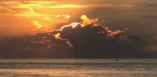 Research: Ocean sink for human-made CO2 measured —