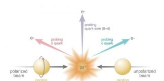 Tech: Sea quark surprise reveals deeper complexity in proton spin puzzle — (Report)