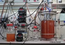 Research: A study sheds a new light on microbial transformations of this molecule —