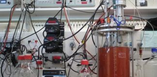 Research: A study sheds a new light on microbial transformations of this molecule —