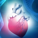 Study: Eight new unique gene mutations in patients with hereditable heart muscle disease — (Details)