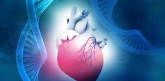 Study: Eight new unique gene mutations in patients with hereditable heart muscle disease — (Details)