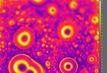 Tech: Materials could delay frost up to 300 times longer than existing anti-icing coatings — (Report)