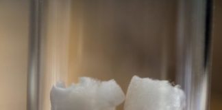 Study: Plant cellulose can pave the way for healthy bone implants — (Details)