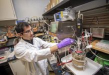 Research: Jet fuels made from plants could be cost competitive with conventional fossil fuels —