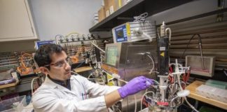 Research: Jet fuels made from plants could be cost competitive with conventional fossil fuels —