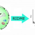 Study: New technique for in-cell distance determination — (Details)
