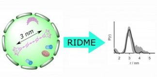 Study: New technique for in-cell distance determination — (Details)