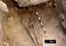 Research: First Anatolian farmers were local hunter-gatherers that adopted agriculture —