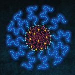 Study: Trail-and-error experimentation in drug design can be omitted by control over location in drugs in molecular delivery package — (Details)