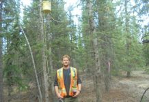 Research: What makes evolution go backwards? —