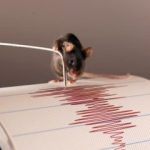 Study: How our body ‘listens’ to vibrations — (Details)