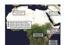 Research: New light on origins of modern humans —