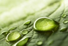 Research: Supercomputer simulations shed light on how liquid drops combine —