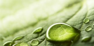Research: Supercomputer simulations shed light on how liquid drops combine —