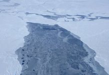 Research: Arctic sea ice 2019 wintertime extent is seventh lowest —