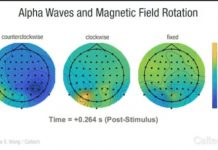 Research: Evidence for a Human Geomagnetic Sense —