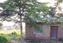 Research: Protecting homes with netting window screens can reduce malaria parasite infection —