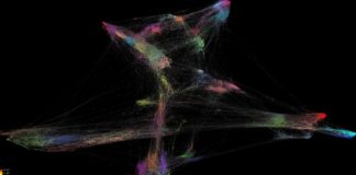 Study: Discovery paves way for precision medicine in future — (Details)