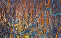 Study: Blue Brain solves a century-old neuroscience problem — (Details)