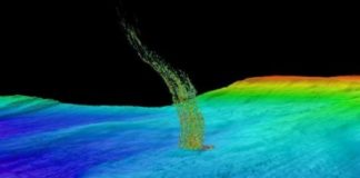 Research: Hundreds of bubble streams link biology, seismology off Washington’s coast —