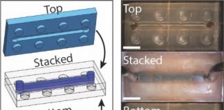 Research: Dynamic hydrogel used to make ‘soft robot’ components and LEGO-like building blocks —