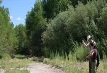 Offbeat: Citizen science programs provide valuable data on intermittent rivers in southwestern US —