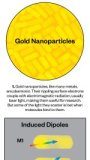 Tech: Molecules alter gold nanoparticles’ electronic properties — (Report)