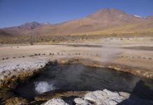 Research: Study could shed light on harmful bacteria that share antibiotic resistance genes —