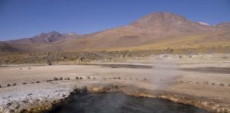 Research: Study could shed light on harmful bacteria that share antibiotic resistance genes —