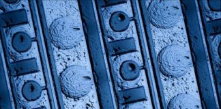 Study: Engineering cellular function without living cells — (Details)