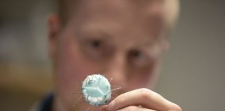 Study: Nanocomposites replace animal tissue in new valve design — (Details)