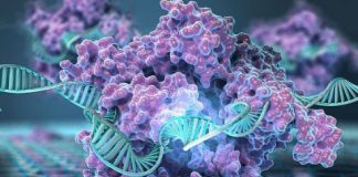 Tech: CRISPR-chip enables digital detection of DNA without amplification — (Report)
