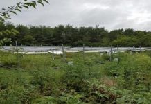 Research: Climate warming accelerates tallgrass prairie bioiversity —