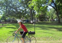 Research: Trees are crucial to the future of our cities —