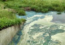 Research: Eutrophication of lakes will significantly increase greenhouse gas emissions —