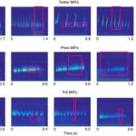 Study: Researchers explore how the auditory system achieves accurate speech recognition — (Details)