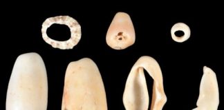 Study: Ancient Caribbean children helped with grocery shopping in AD 400 — (Details)