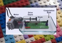 Tech: Building starch backbones for lab-grown meat using Lego pieces — (Report)