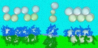 Tech: Theoretical approach for assembling nanoparticles uses an idea similar to separated vinaigrettes — (Report)