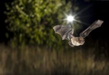 Research: A complex relationship —