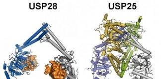 Study: Substantial differences identified — (Details)