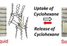 Tech: Vapor drives a liquid-solid transition in a molecular system — (Report)