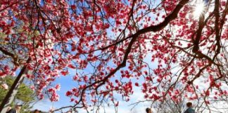 Study: A simple strategy to improve your mood in 12 minutes — (Details)