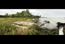 Research: Freshwater coastal erosion alters global carbon budget —