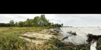 Research: Freshwater coastal erosion alters global carbon budget —