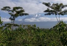 Research: Ecosystems in global change —